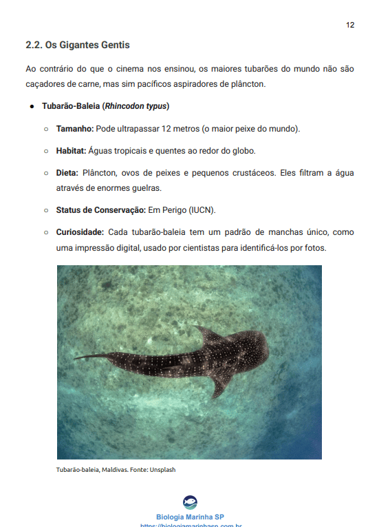 Amostra do Layout Interno