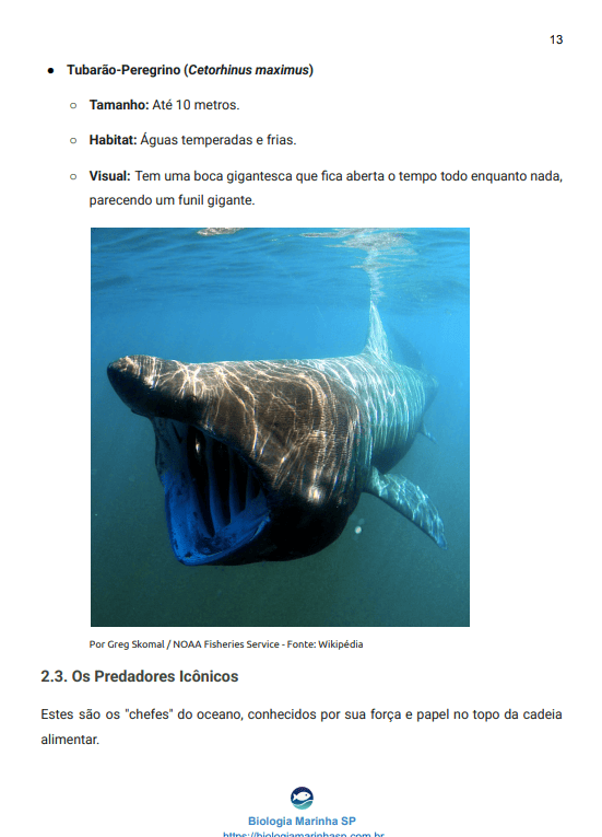 Amostra do Conteúdo