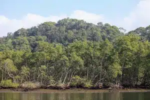 Arca do Saber Bertioga