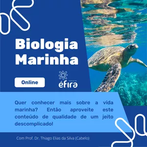 Curso de Biologia Marinha