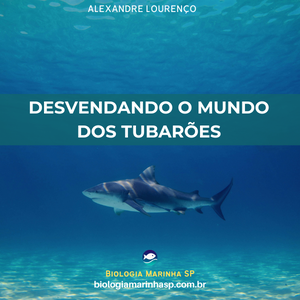 E-book Mestres dos Oceanos