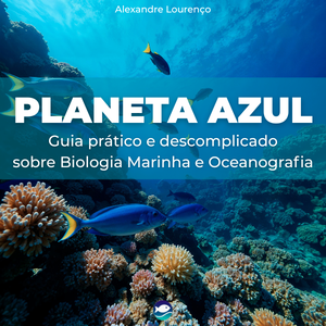 E-book Planeta Azul: Guia prático e descomplicado sobre os oceanos